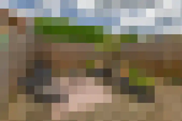 Schoolstraat 2 Krimpen aan de Lek thumbnail 8