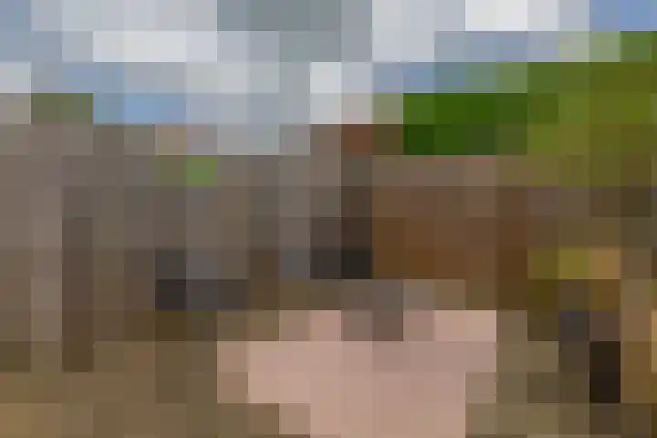 Schoolstraat 2 Krimpen aan de Lek thumbnail 9