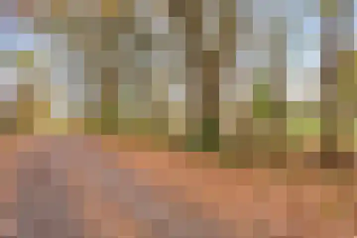 Schoolstraat 2 Landgraaf thumbnail 15