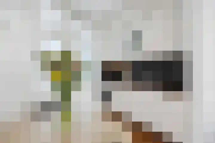 Schoolstraat 2 Nijmegen thumbnail 13