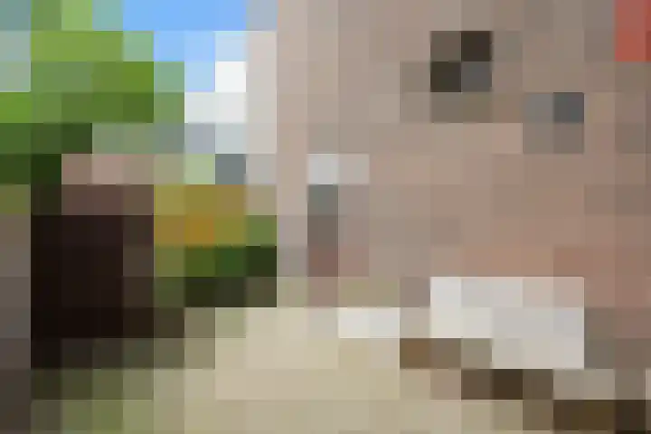 Schoolstraat 2 Nijmegen thumbnail 22