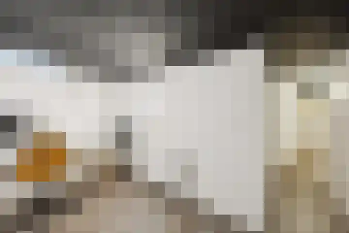 Schoolstraat 2 Nijmegen thumbnail 26