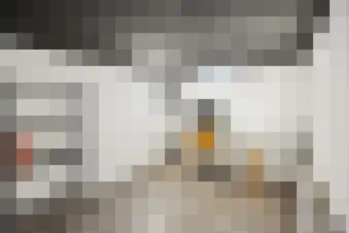 Schoolstraat 2 Nijmegen thumbnail 28