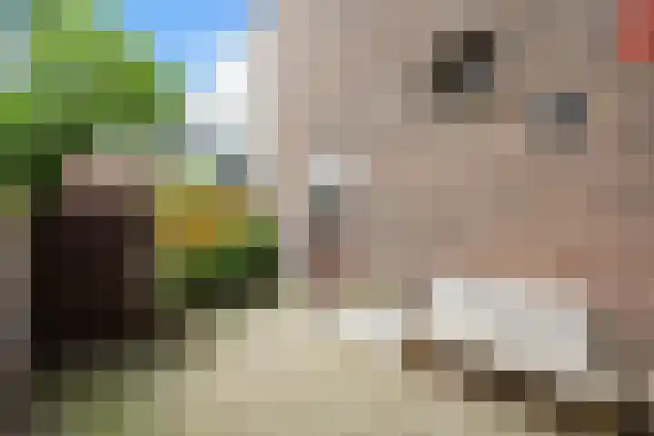 Schoolstraat 2 Nijmegen thumbnail 4