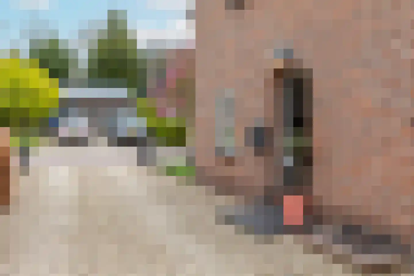 Schoolstraat 2 Ochten thumbnail 10