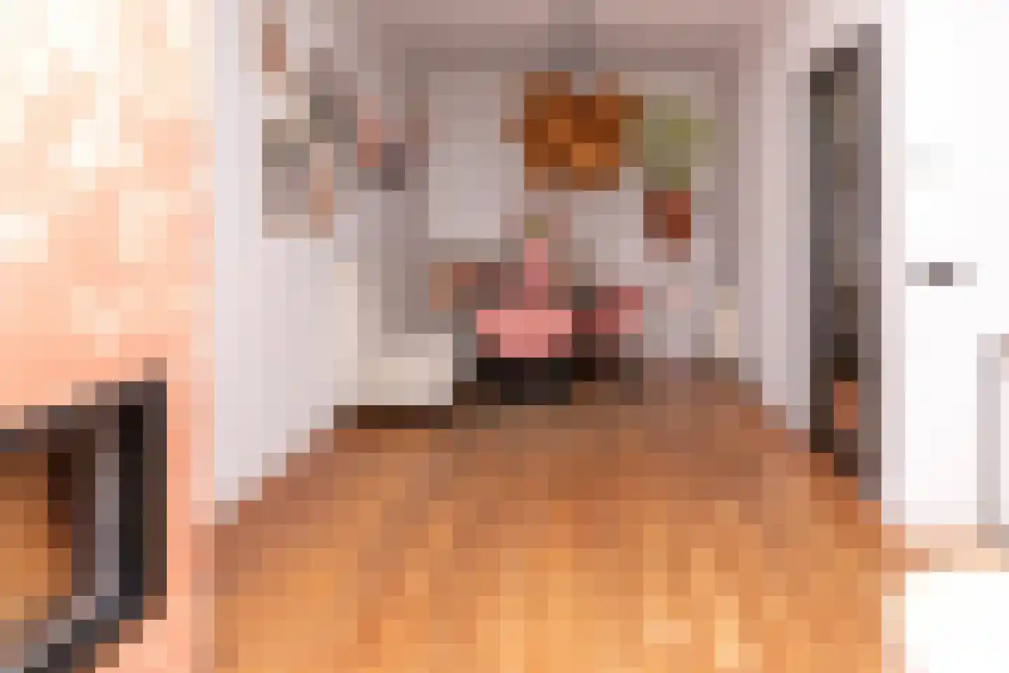 Schoolstraat 2 Ochten thumbnail 15