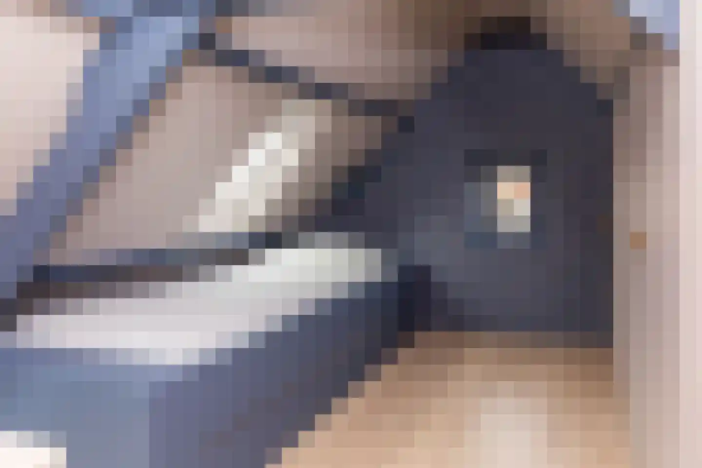 Schoolstraat 2 Ochten thumbnail 38