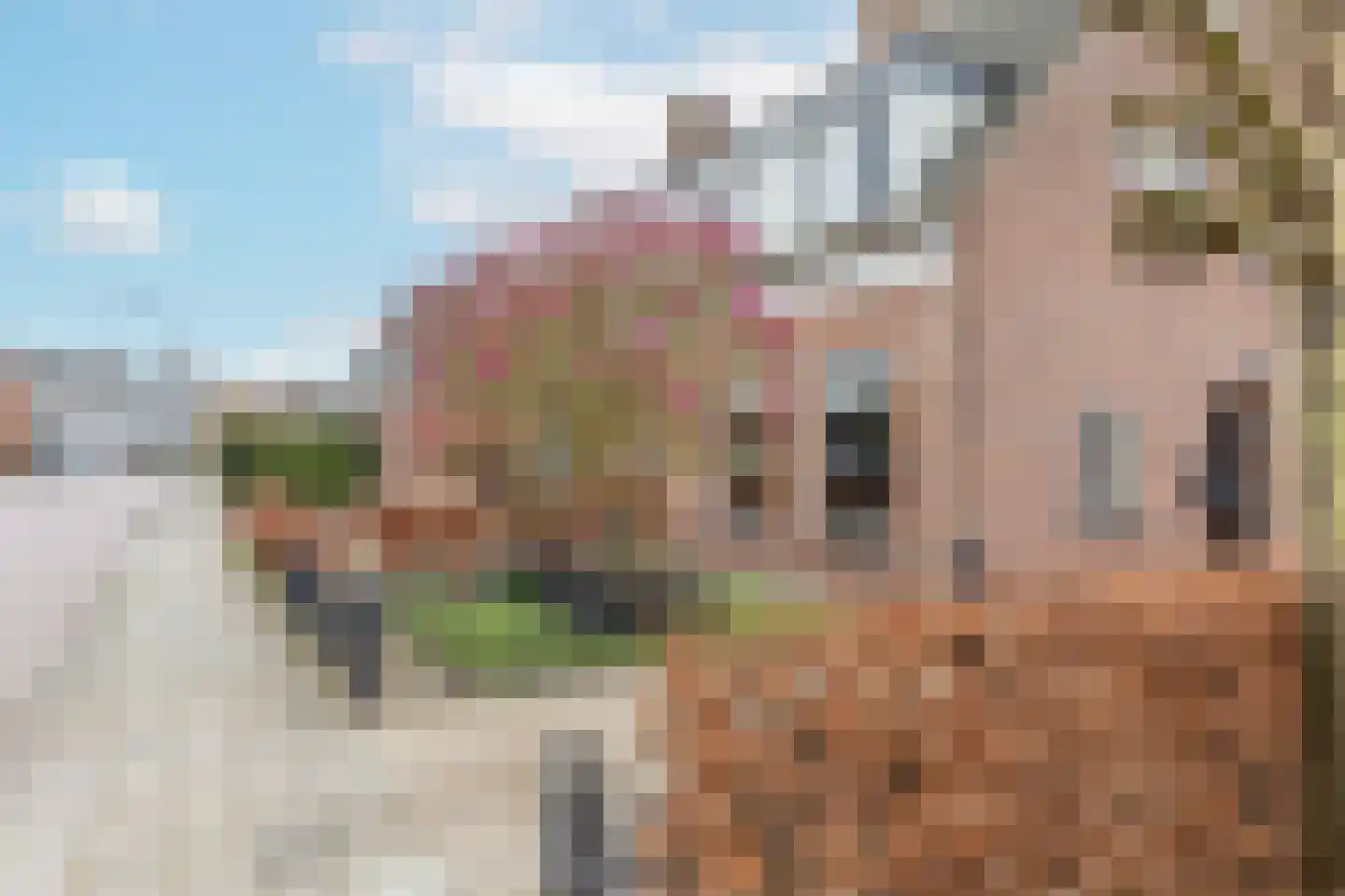 Schoolstraat 2 Ochten thumbnail 53
