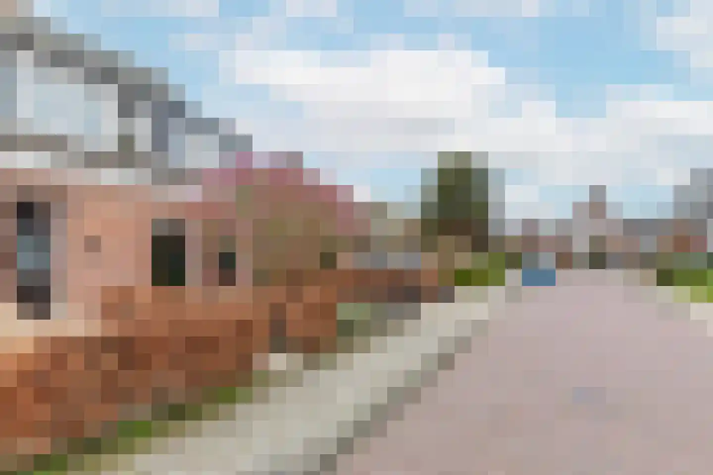 Schoolstraat 2 Ochten thumbnail 55