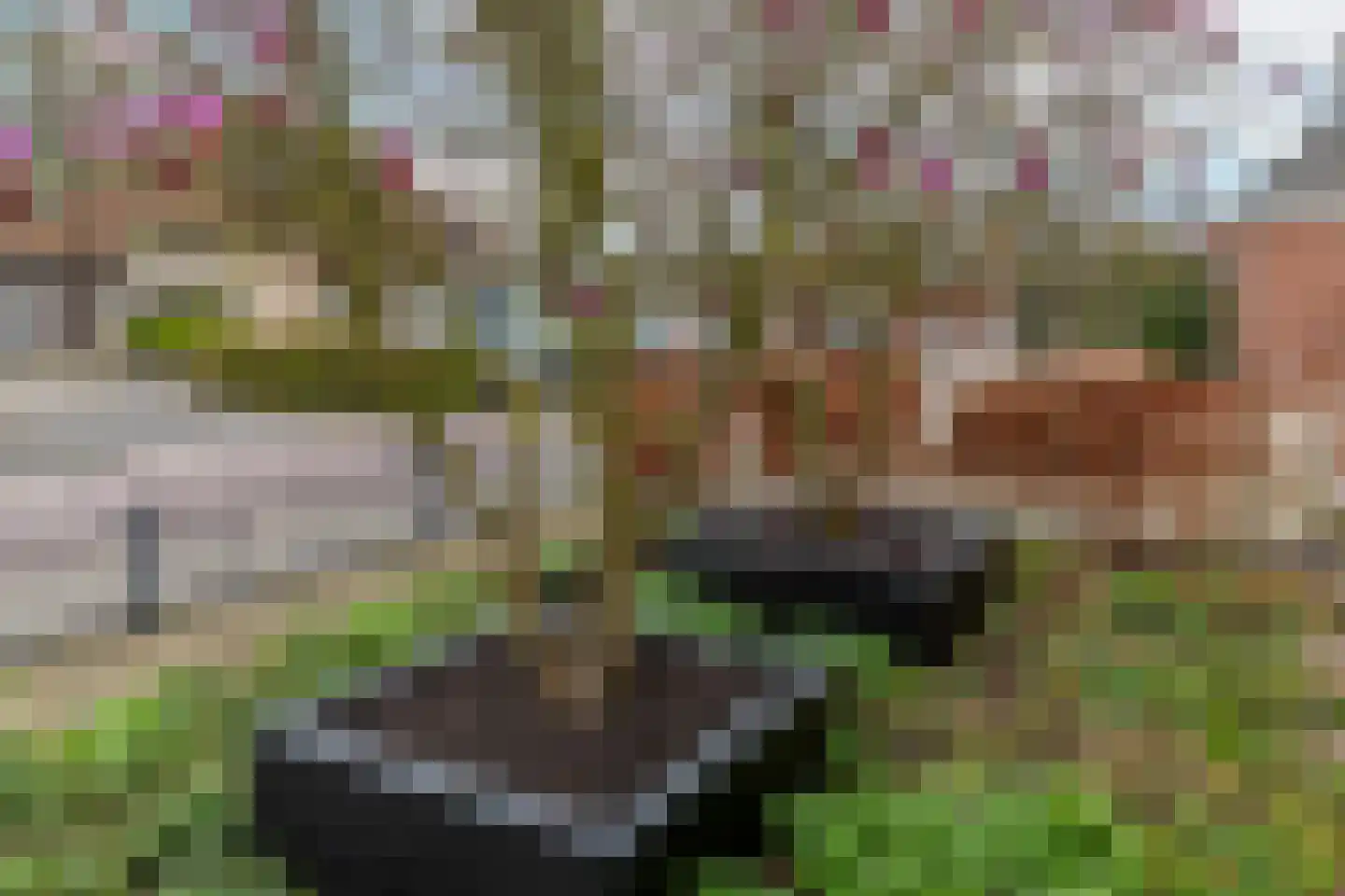 Schoolstraat 2 Ochten thumbnail 56