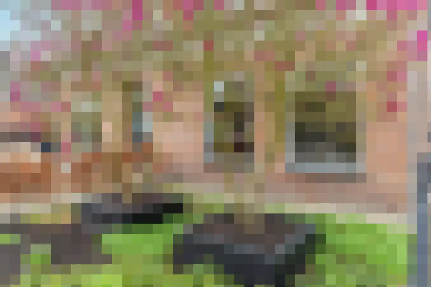 Schoolstraat 2 Ochten thumbnail 58