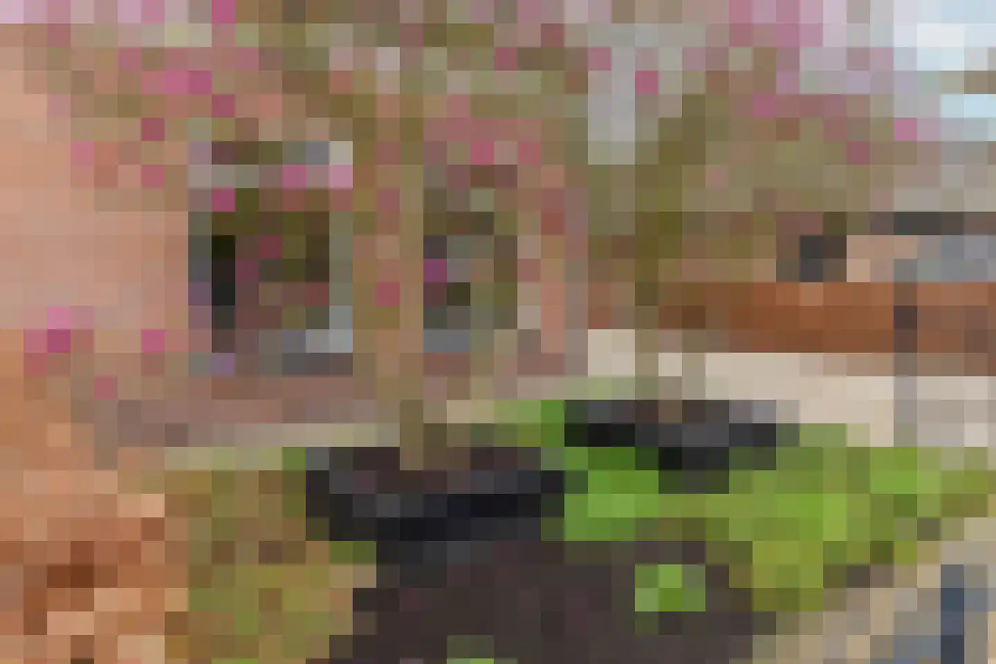 Schoolstraat 2 Ochten thumbnail 8