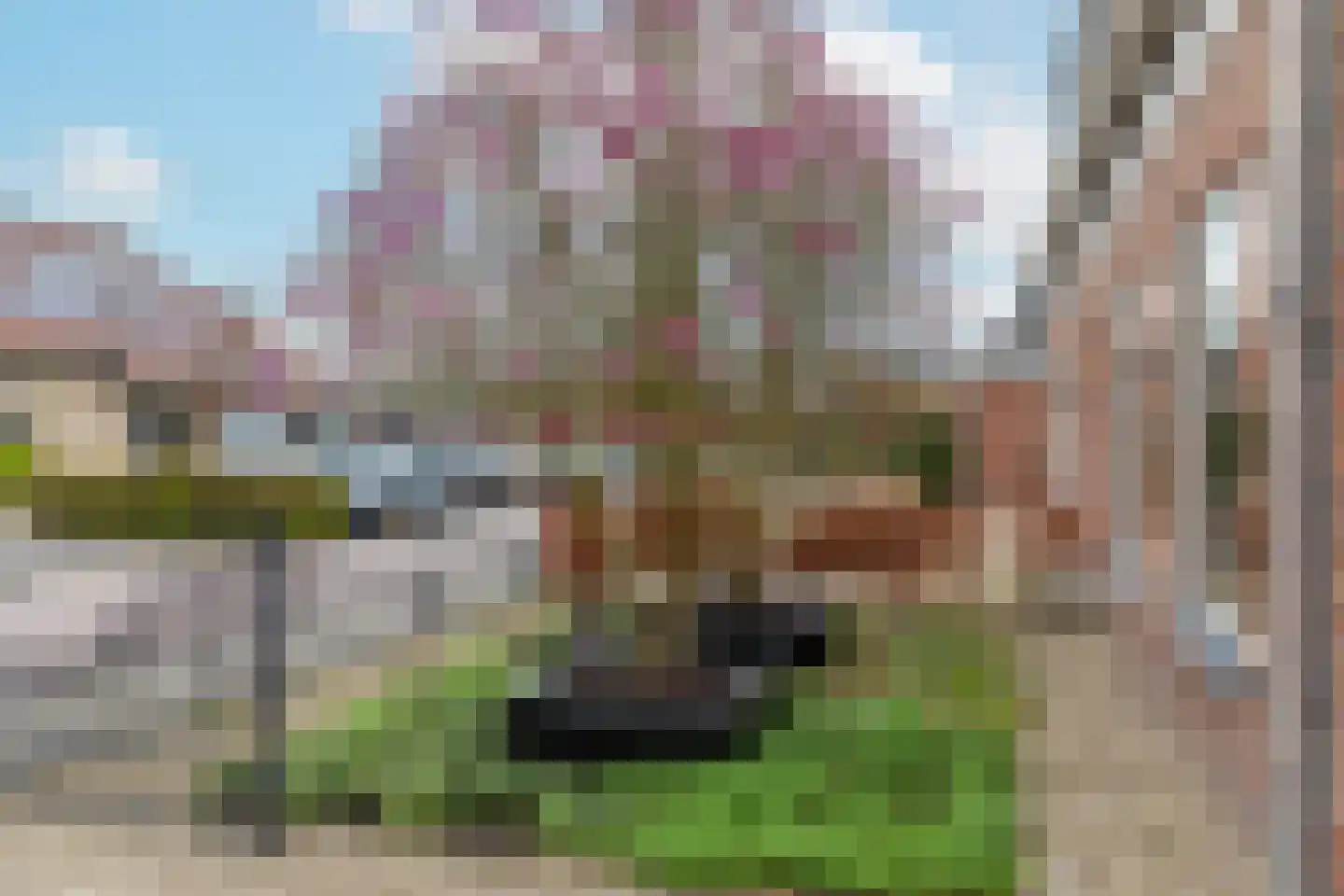 Schoolstraat 2 Ochten thumbnail 9
