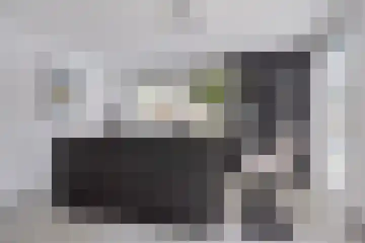 Schoolstraat 2 's-Hertogenbosch thumbnail 12