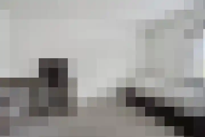Schoolstraat 2 's-Hertogenbosch thumbnail 31