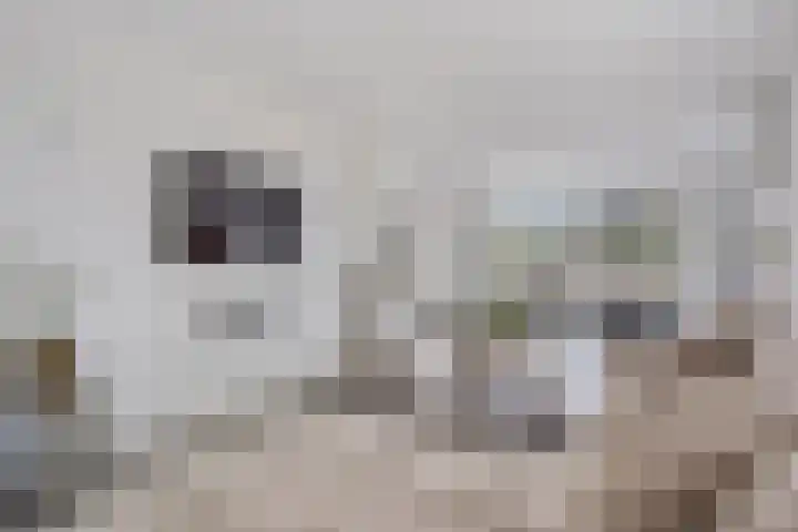 Schoolstraat 2 's-Hertogenbosch thumbnail 6