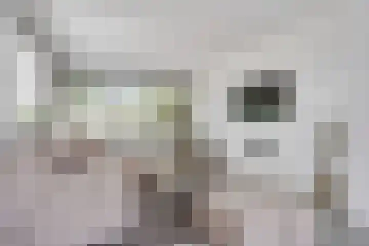 Schoolstraat 2 's-Hertogenbosch thumbnail 7