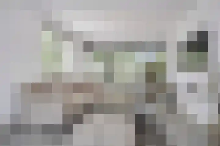 Schoolstraat 2 's-Hertogenbosch thumbnail 8