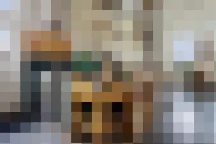 Schoolstraat 2 Schraard thumbnail 10