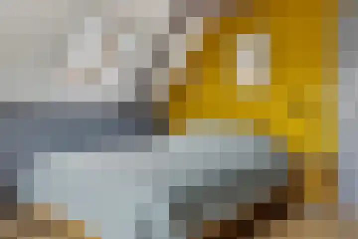 Schoolstraat 2 Schraard thumbnail 23