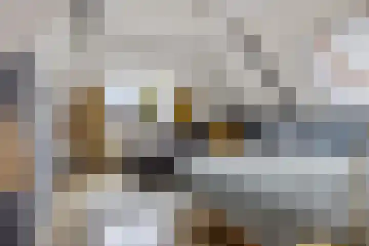 Schoolstraat 2 Schraard thumbnail 24