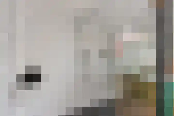 Schoolstraat 2 Schraard thumbnail 29