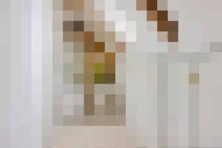 Schoolstraat 2 Schraard thumbnail 31