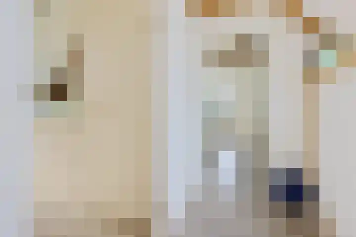 Schoolstraat 2 Schraard thumbnail 32