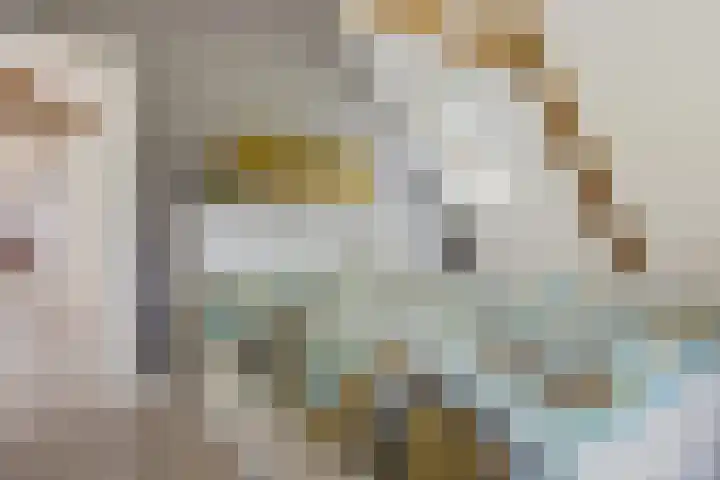 Schoolstraat 2 Schraard thumbnail 35