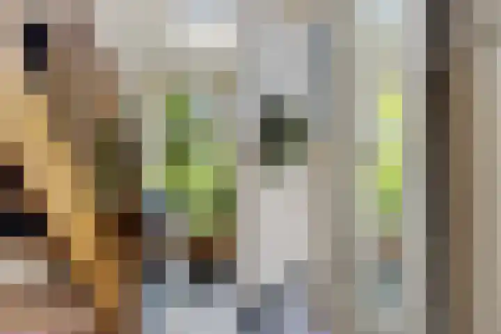 Schoolstraat 2 Schraard thumbnail 36
