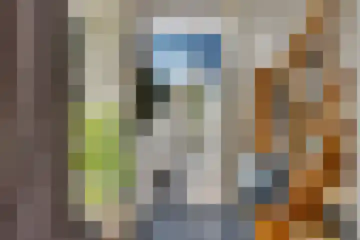 Schoolstraat 2 Schraard thumbnail 39