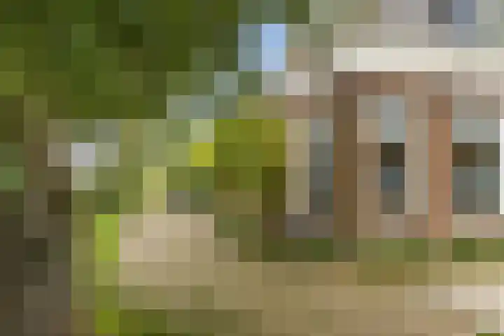 Schoolstraat 2 Schraard thumbnail 4