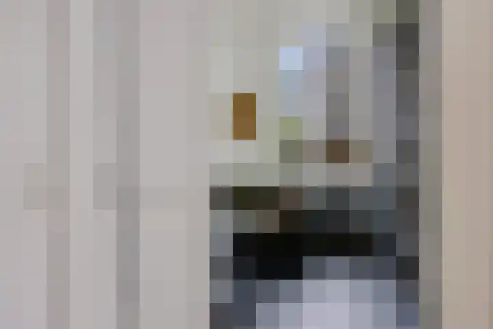 Schoolstraat 2 Schraard thumbnail 46