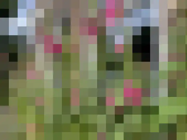 Schoolstraat 2 Schraard thumbnail 5