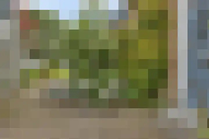 Schoolstraat 2 Schraard thumbnail 51