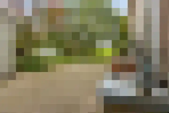 Schoolstraat 2 Schraard thumbnail 53