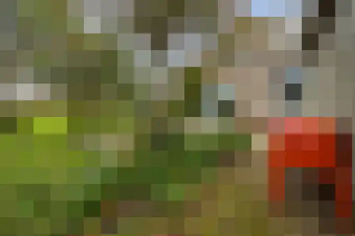 Schoolstraat 2 Schraard thumbnail 54