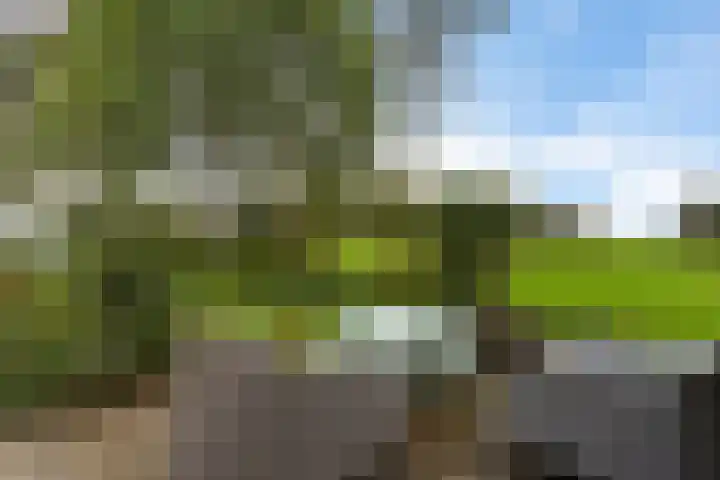 Schoolstraat 2 Schraard thumbnail 56