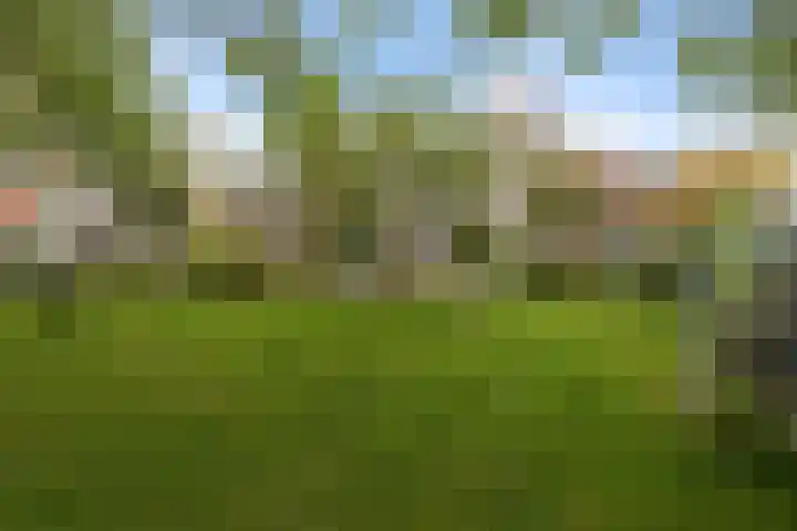 Schoolstraat 2 Schraard thumbnail 57