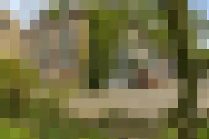 Schoolstraat 2 Schraard thumbnail 58