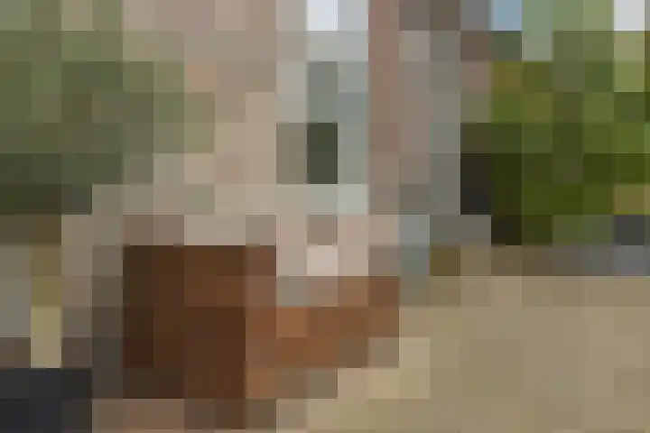 Schoolstraat 2 Schraard thumbnail 59