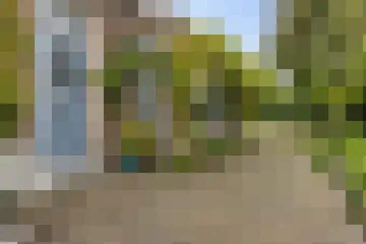 Schoolstraat 2 Schraard thumbnail 6