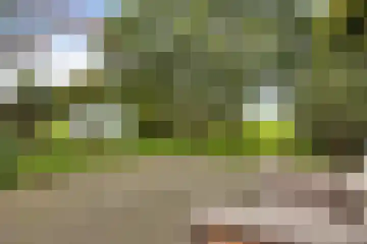 Schoolstraat 2 Schraard thumbnail 60