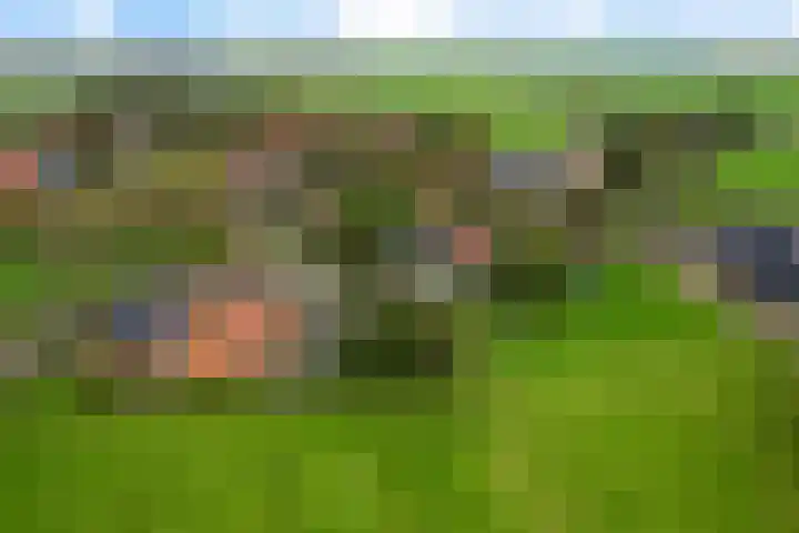 Schoolstraat 2 Schraard thumbnail 62
