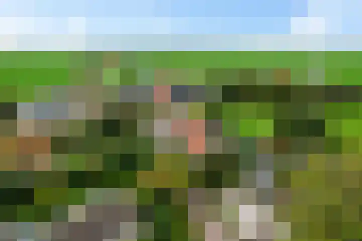 Schoolstraat 2 Schraard thumbnail 63