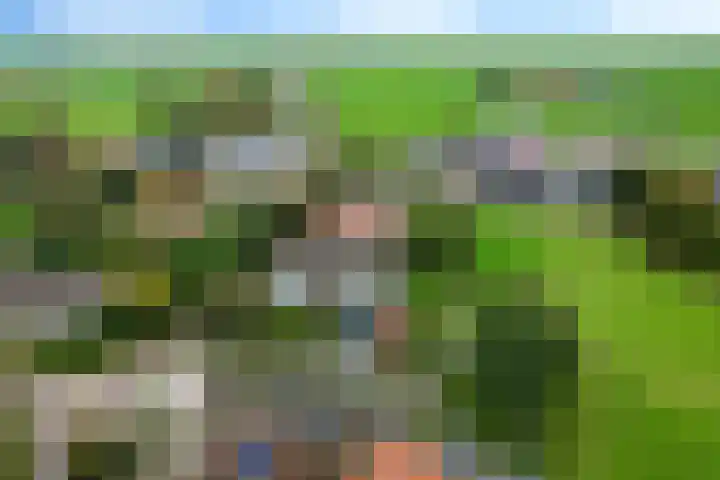 Schoolstraat 2 Schraard thumbnail 64