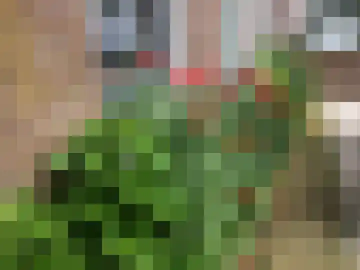 Schoolstraat 2 Schraard thumbnail 65