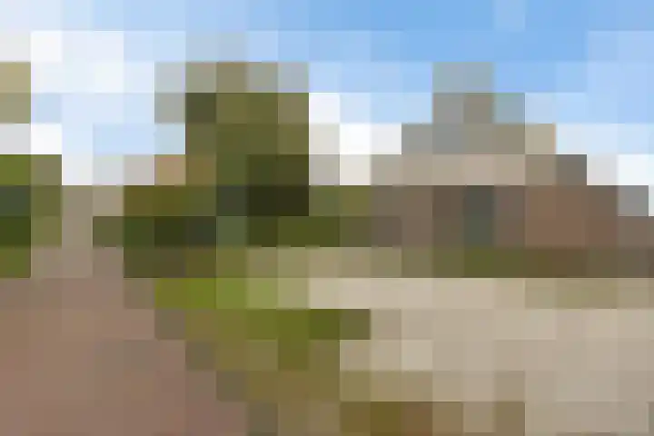 Schoolstraat 2 Schraard thumbnail 66