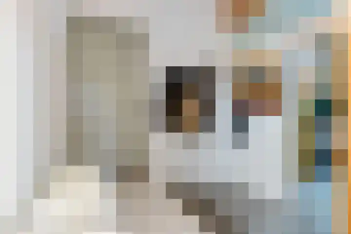 Schoolstraat 2 Schraard thumbnail 8
