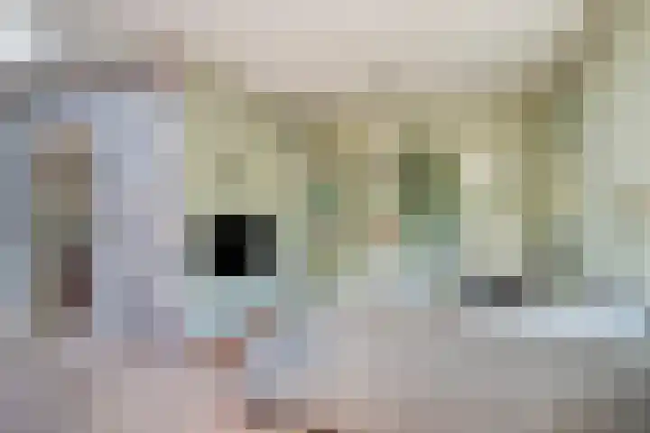 Schoolstraat 2 Swolgen thumbnail 23